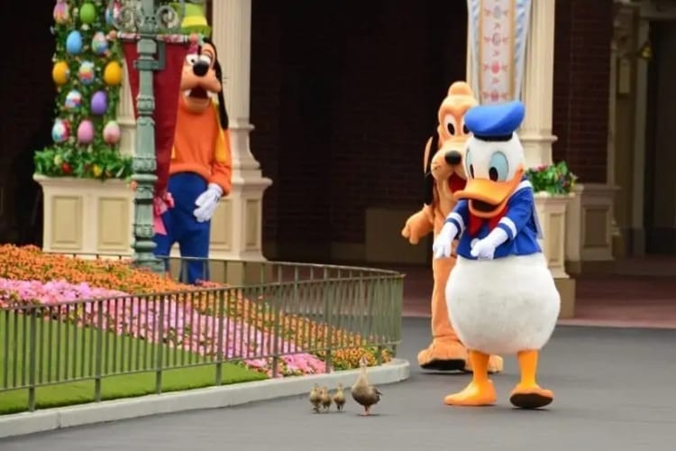 Funniest Disney Photos Ever