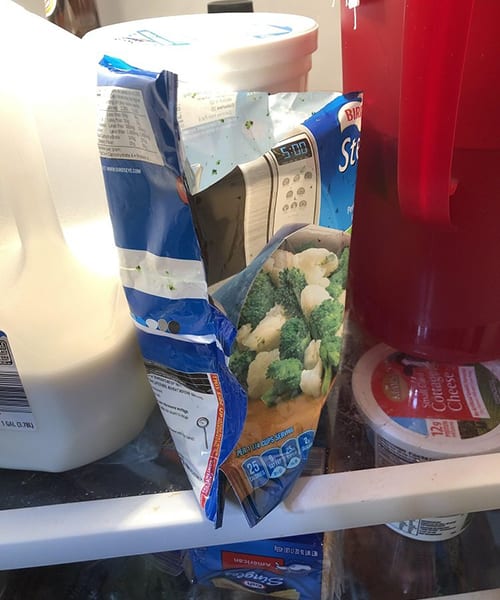 Pictures of Moments of Pure Laziness Pics