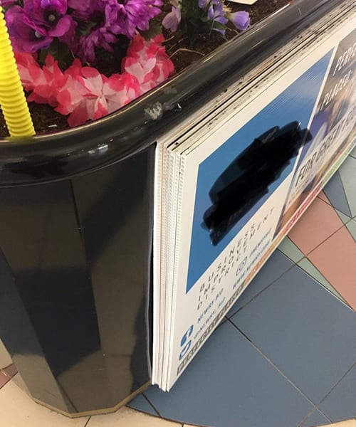 Pictures of Moments of Pure Laziness Pics