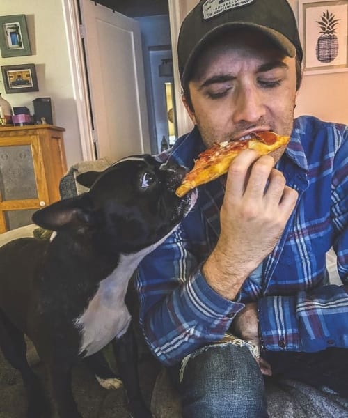 Animals Sneaking Snacks Red-Handed