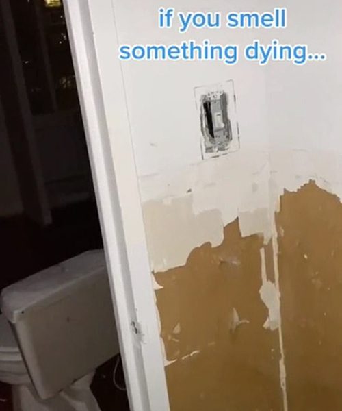 Samantha Hartsoe New York Apartment Behind Bathroom Mirror